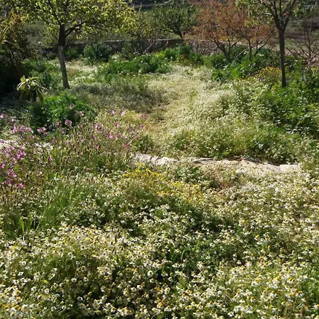 Farma The Stone House Naxos